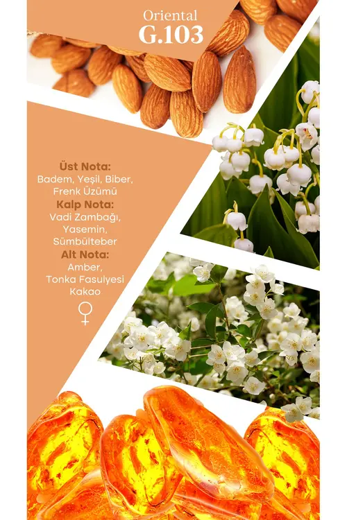 Mad Parfüm Mad G103 Selective 50 ml Kadın Parfüm