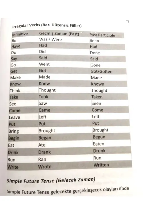 Şipşak İngilizce Gramer+Kelimeler Kitap Seti